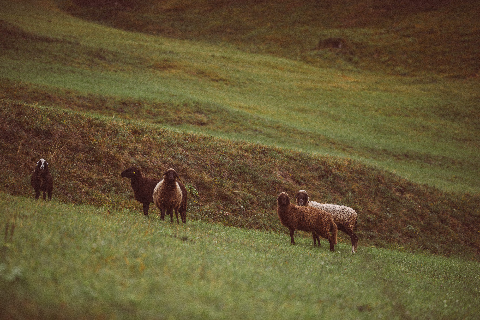 Export x3 1DX23872 Fotoshooting 2018 Annette & Mike Nauders 4